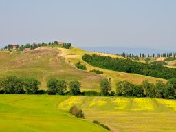 Toscana2011-34